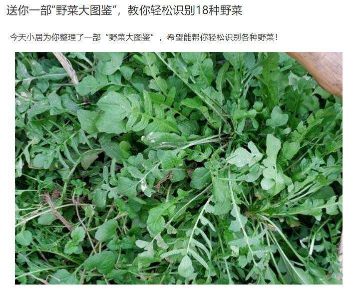 微信图片_20220328124533.jpg