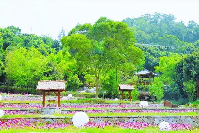 厦门桃花源.jpeg