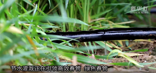 微信图片_20220429115144.png