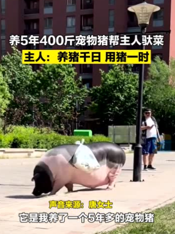 微信图片_20220519105556.png