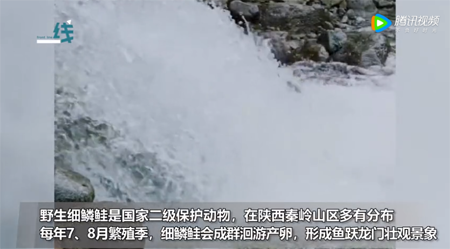 微信图片_20220609121301副本.png