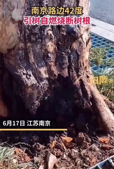 微信图片_20220620104521.png