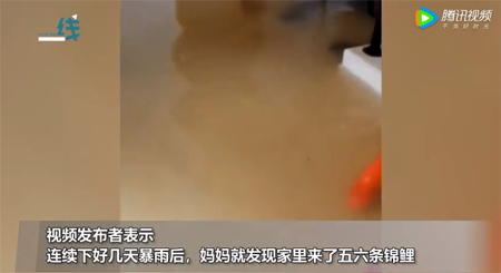 微信图片_20220624083124.png