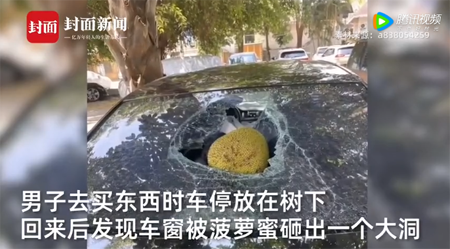 微信图片_20220627093137.png