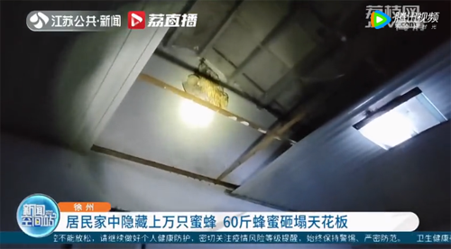 微信图片_20220705135943.png