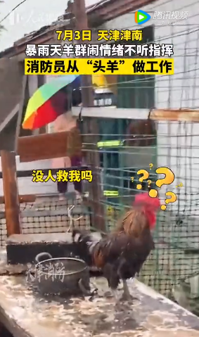 微信图片_20220706100627.png