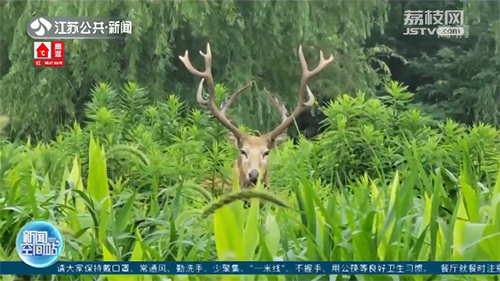 微信图片_20220714084334.png