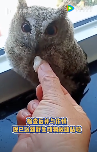 微信图片_20220719102327.png