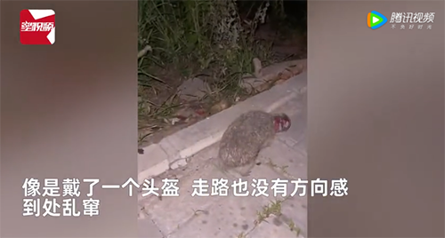 微信图片_20220720080622.png