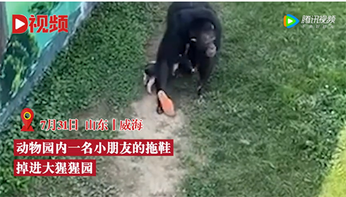 微信图片_20220802075501.png
