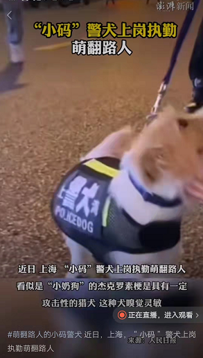 微信图片_20220905090534.png