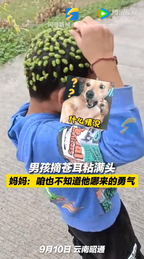 微信图片_20220916092041.png