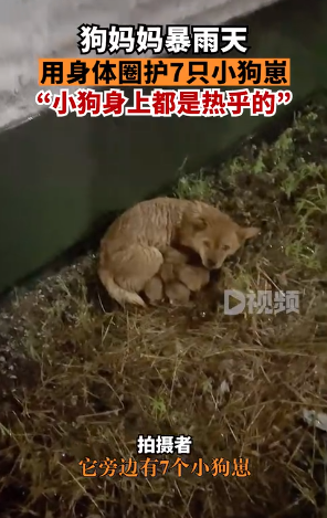微信图片_20220918190603.png