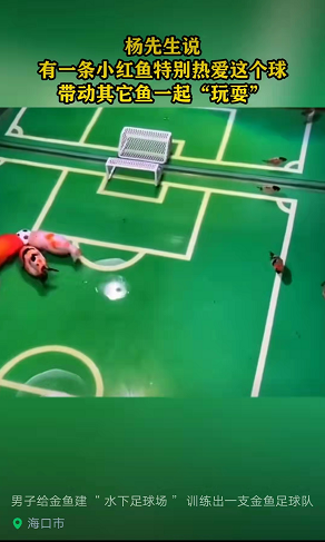 微信图片_20220927085459.png