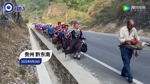 微信图片_20220930081509.png