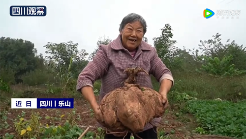 微信图片_20221111074347.png