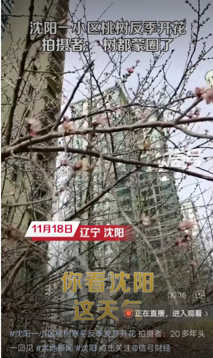 微信图片_20221121083134.png