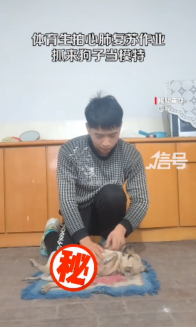 微信图片_20221122093612.png