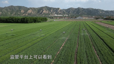 640 (3).gif